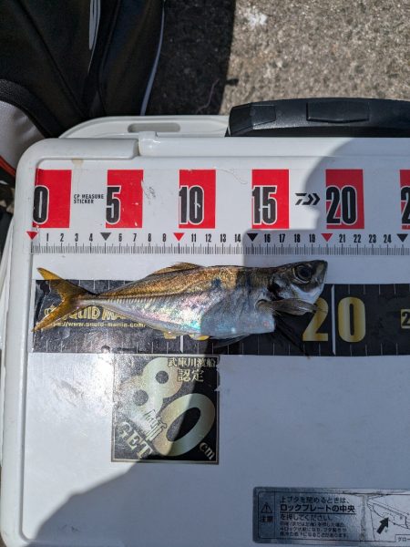 久々に武庫川一文字