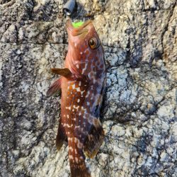 久しぶりの遠征