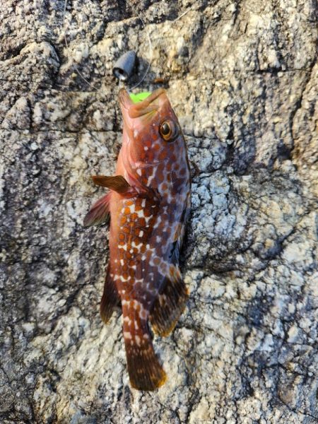 久しぶりの遠征