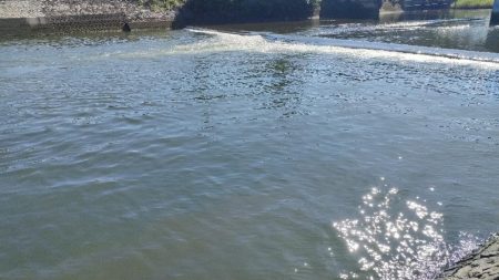 久々のトップチニング