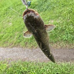 オールドタックルで