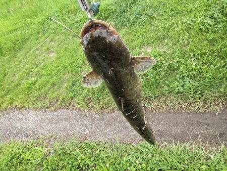 オールドタックルで