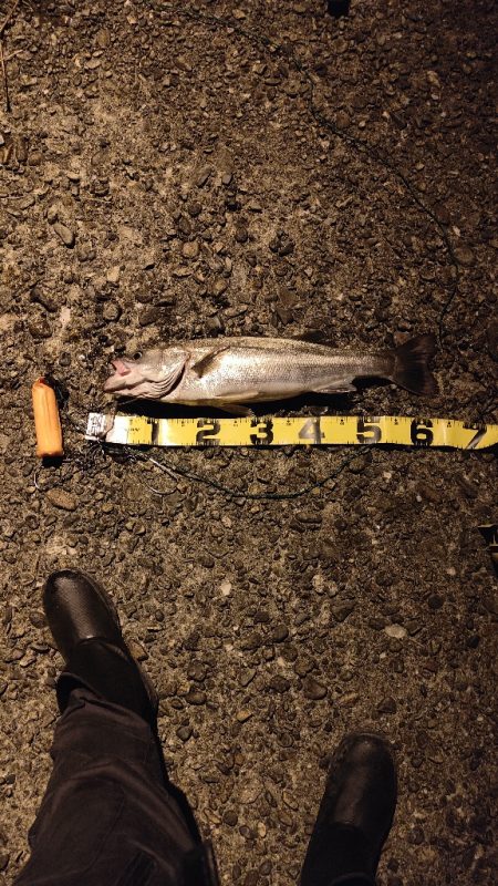 夜の海も暑かった。