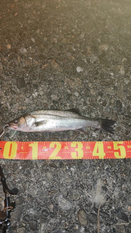 お持ち帰りならず