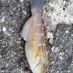 久しぶりの釣行