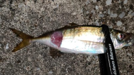 リベンジアジング