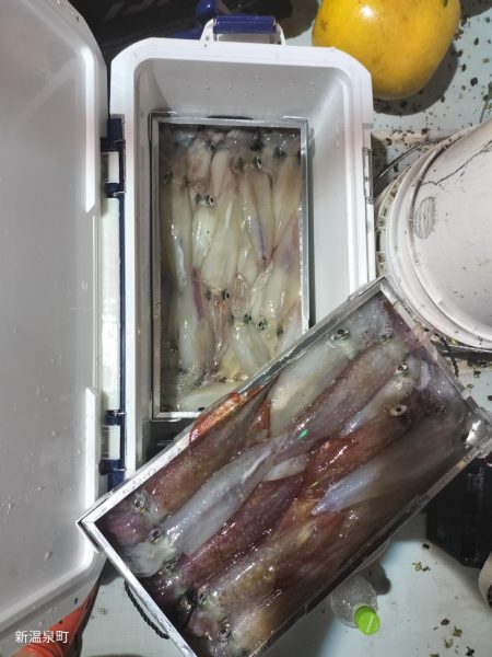 イカメタル　浜坂