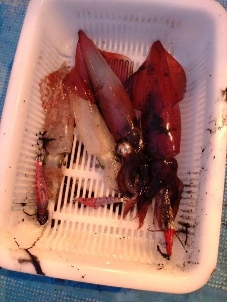 大雨明けの小雨