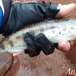 梅雨時の渇水は厳しい
