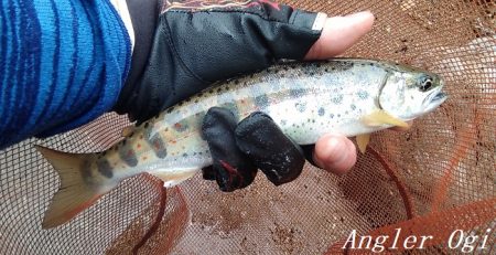 梅雨時の渇水は厳しい