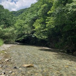 昼からのピーカンゲーム