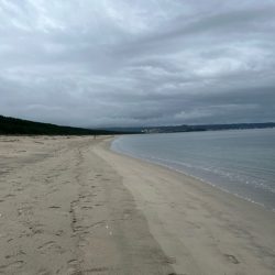 雨上がりのサーフでキス釣りしてきました