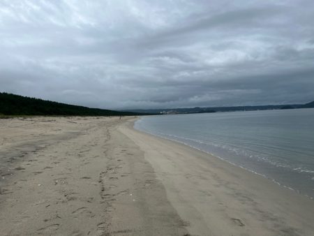 雨上がりのサーフでキス釣りしてきました