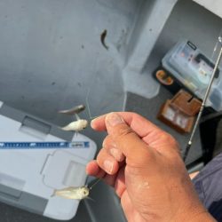 恒例の大会に参加してきました