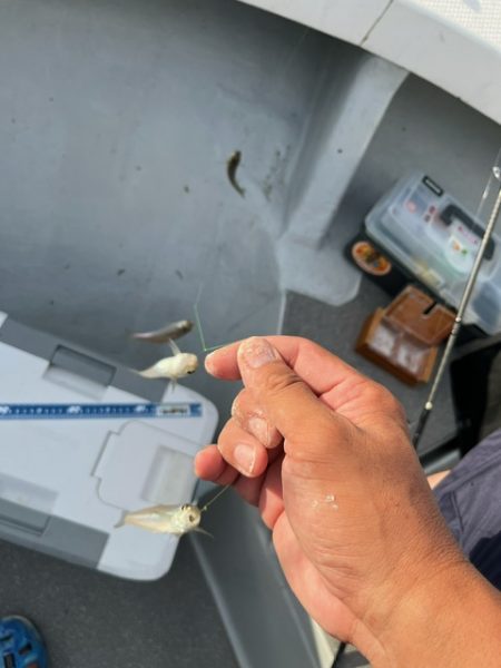 恒例の大会に参加してきました