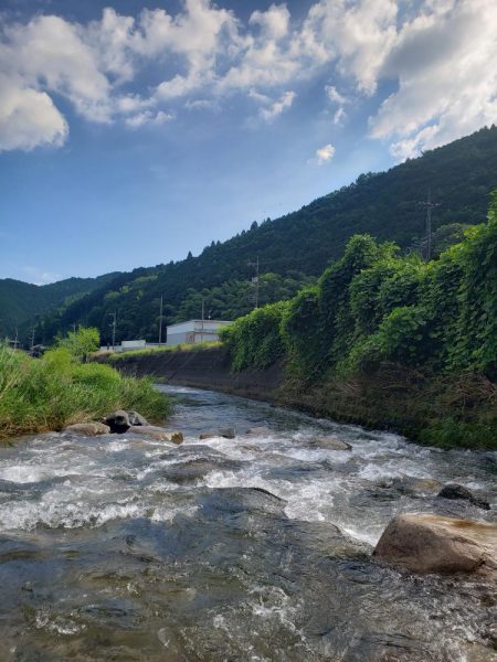 暑いしバラすし今日は駄目です