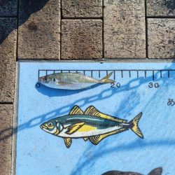 遠征釣りキャンプ