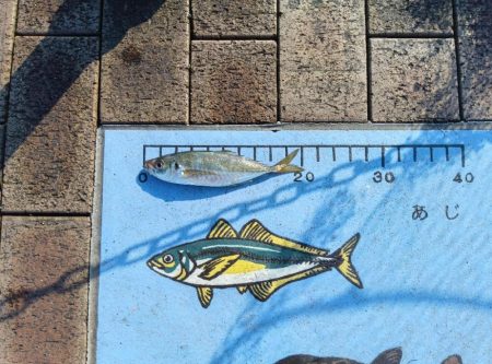 遠征釣りキャンプ