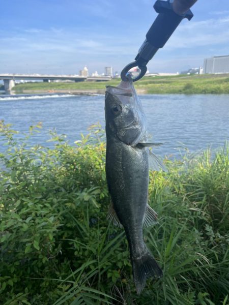 大分川　河口で灼熱のデイゲーム