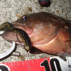 今シーズンベスト