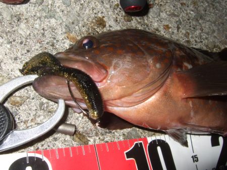 今シーズンベスト