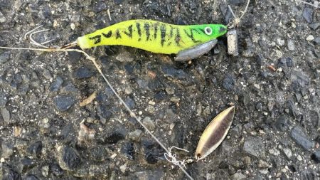 渋くても釣れるんです。