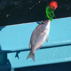 久々のオフショア