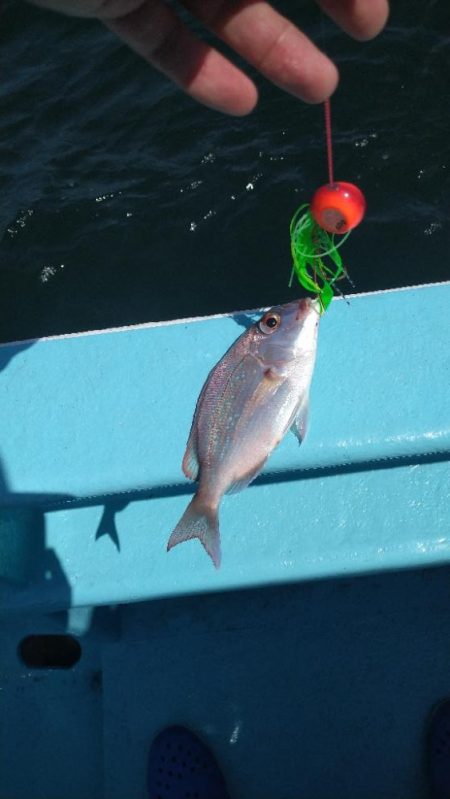 久々のオフショア