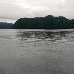 ようやくサゴシくんに出会えた