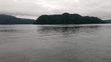 ようやくサゴシくんに出会えた