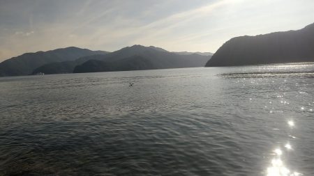 ヒラメ釣れましたぁ