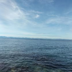 遠征したが、、