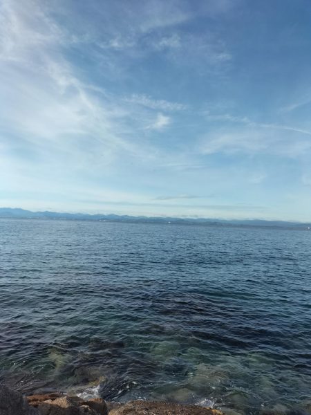 遠征したが、、