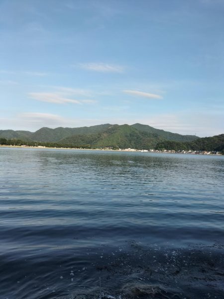 癒しのガッシー