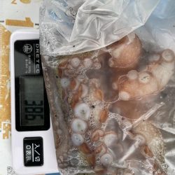 タコ　ランガン