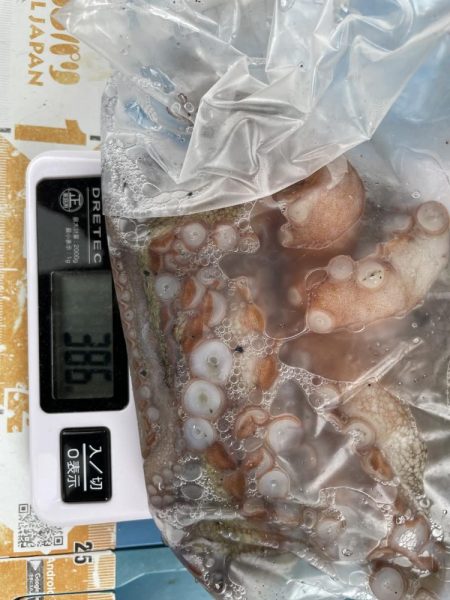 タコ　ランガン