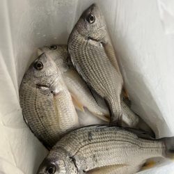 ★★初めての天然ウナギ釣り★★