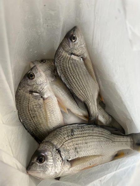 ★★初めての天然ウナギ釣り★★