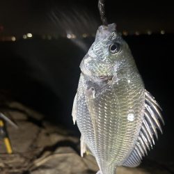 ★★巨大うなぎ現れる★★