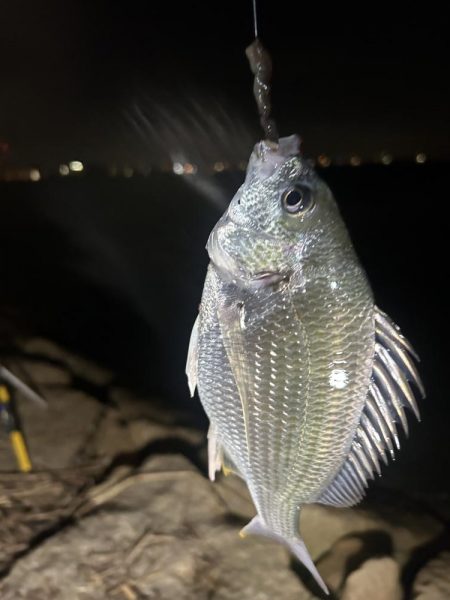 ★★巨大うなぎ現れる★★