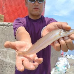 播磨新島釣行１８