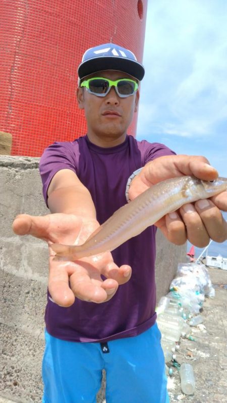 播磨新島釣行１８