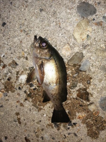 時合も短時間に