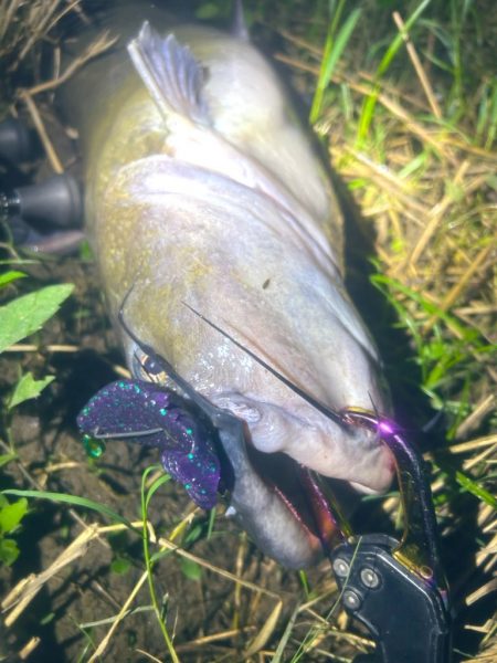 週末の増減水で