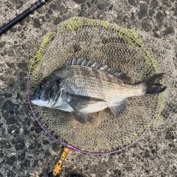 雨の後の川濁り