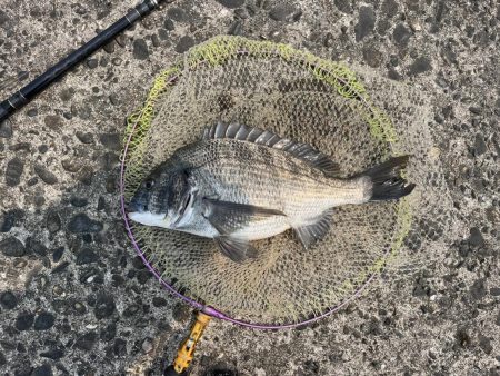 雨の後の川濁り