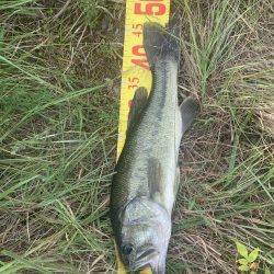 久しびりのバス釣り