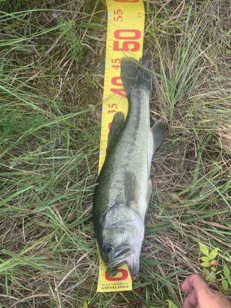 久しびりのバス釣り