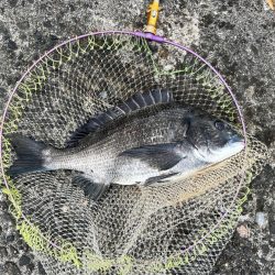 曇りで最高の釣り日和