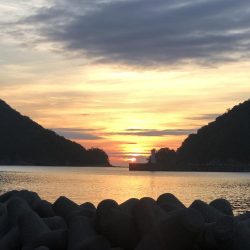 香住ふるさと祭りに帰省